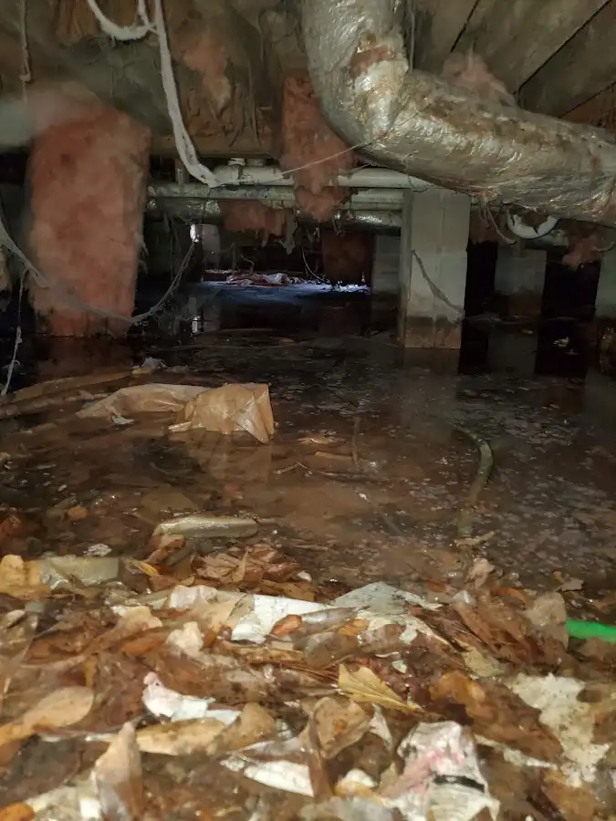 Crawl space flood assessment for Leak Detection & Repair in Cameron