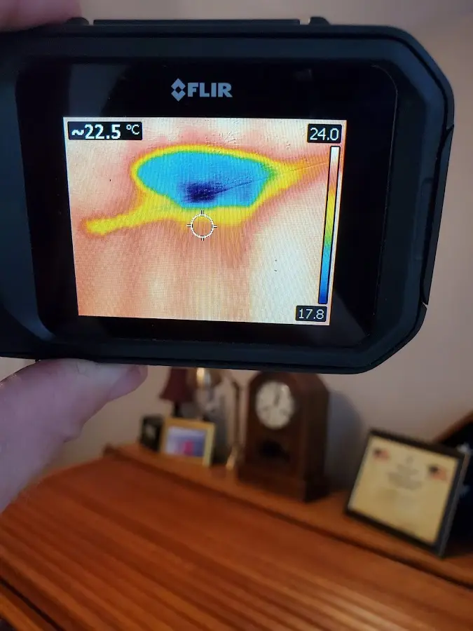 Thermal imaging inspection for water damage in Cameron