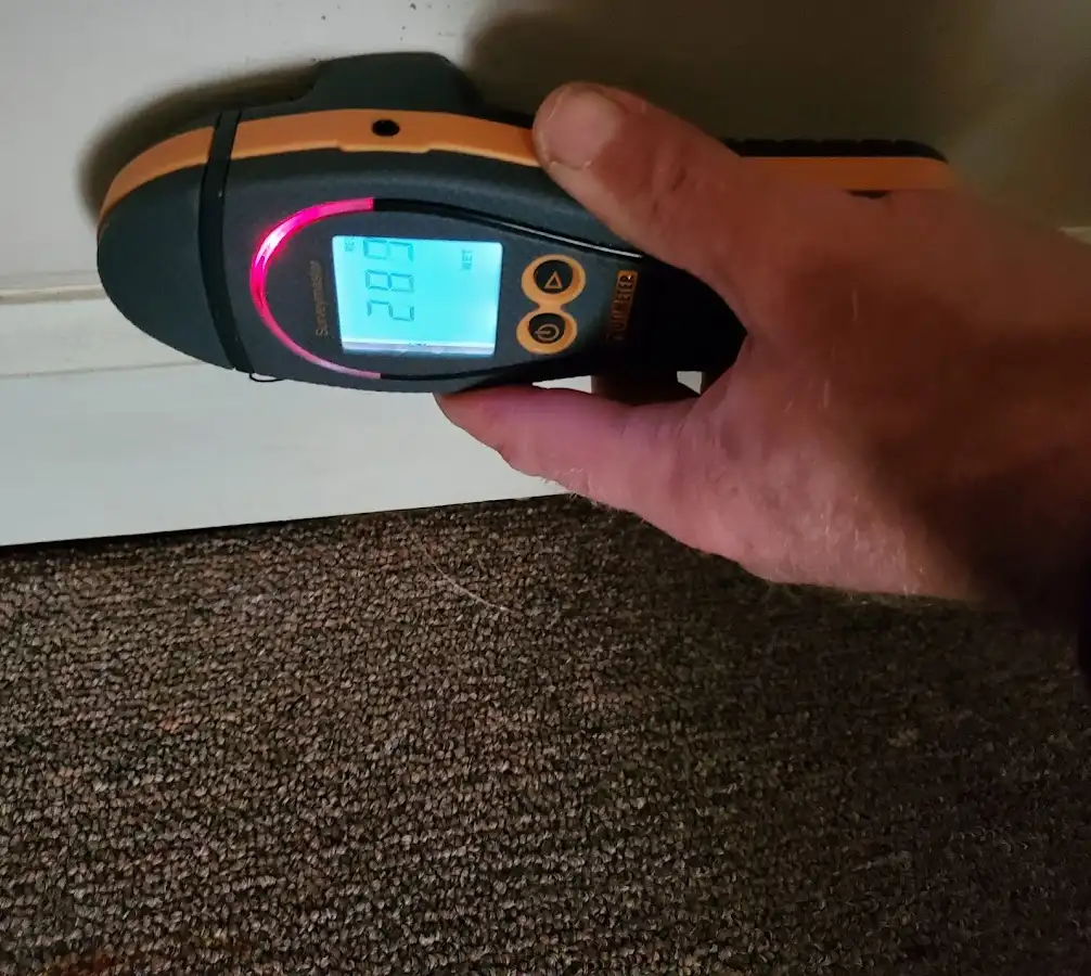 Moisture detection at baseboard during Sewage Cleanup & Sanitation in Cameron